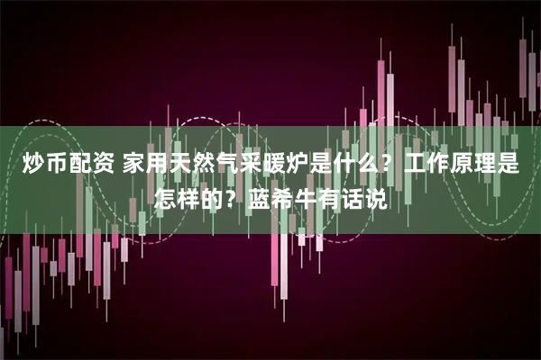 炒币配资 家用天然气采暖炉是什么？工作原理是怎样的？蓝希牛有话说