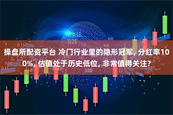 操盘所配资平台 冷门行业里的隐形冠军, 分红率100%, 估值处于历史低位, 非常值得关注?