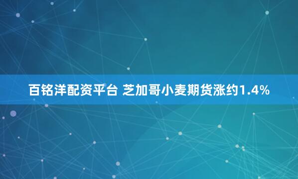 百铭洋配资平台 芝加哥小麦期货涨约1.4%