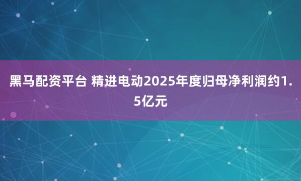 黑马配资平台 精进电动2025年度归母净利润约1.5亿元