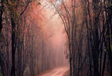 买股票怎么融资:股票交流论坛有哪些-紧抓人民币国际化机遇 银行优化跨境服务能力